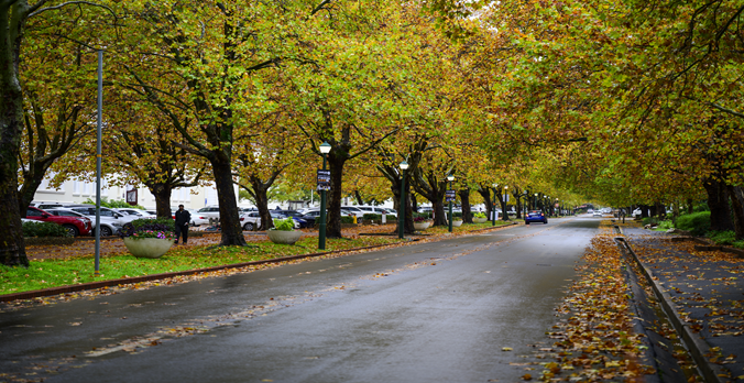 Victoria Street in winter