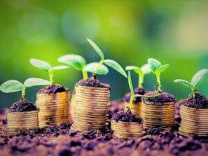 Financial Management