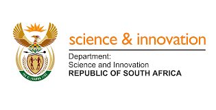 dsi-logo