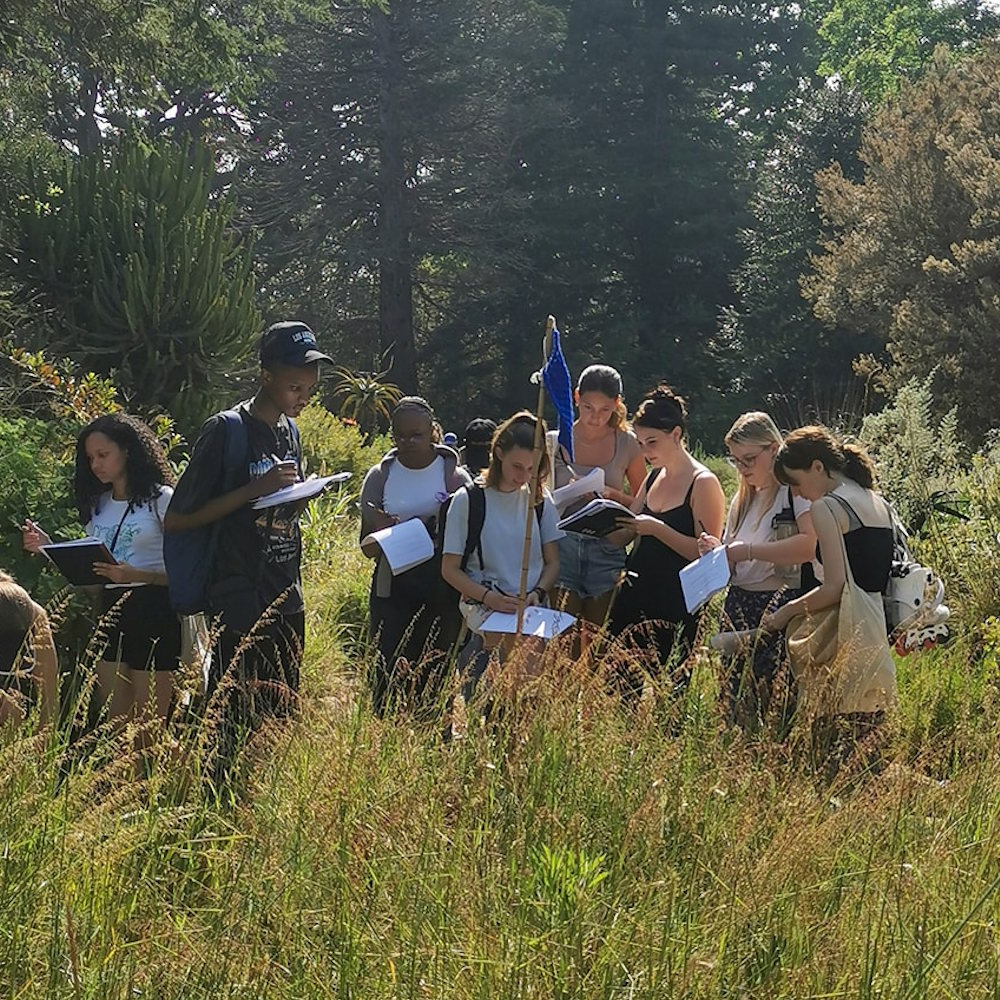 Guided Tours.jpg