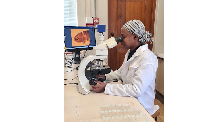 identifying mounted parasites