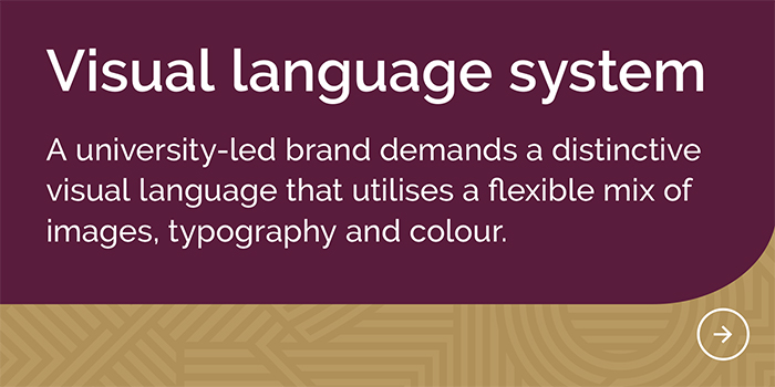 Visual language system