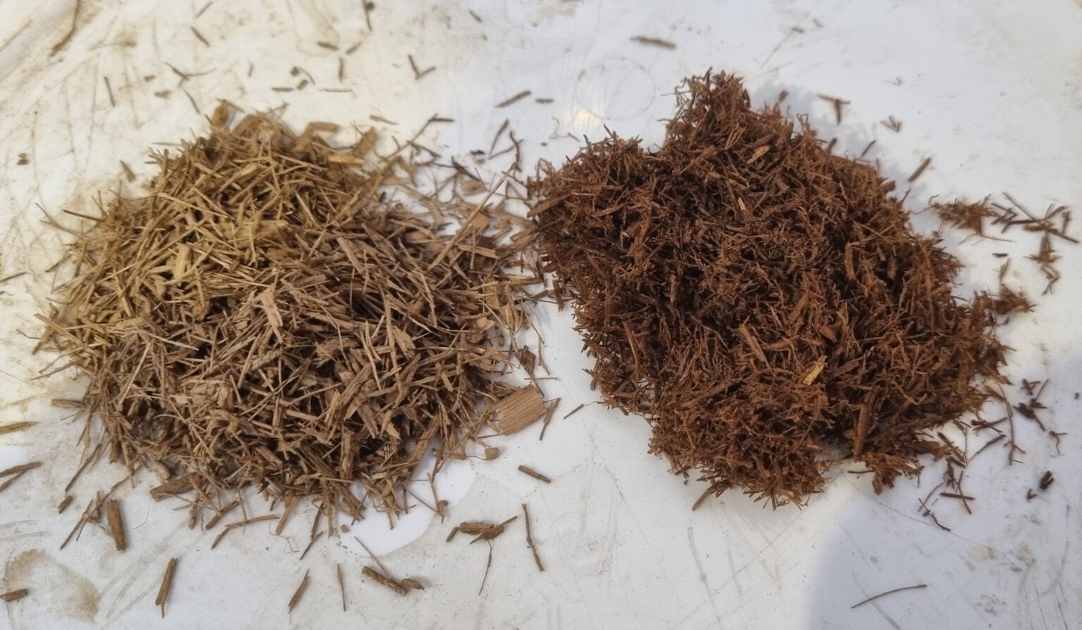 20240626_120832-1536x895