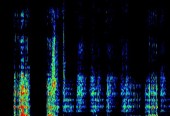 Signal Processing & Machine Learning