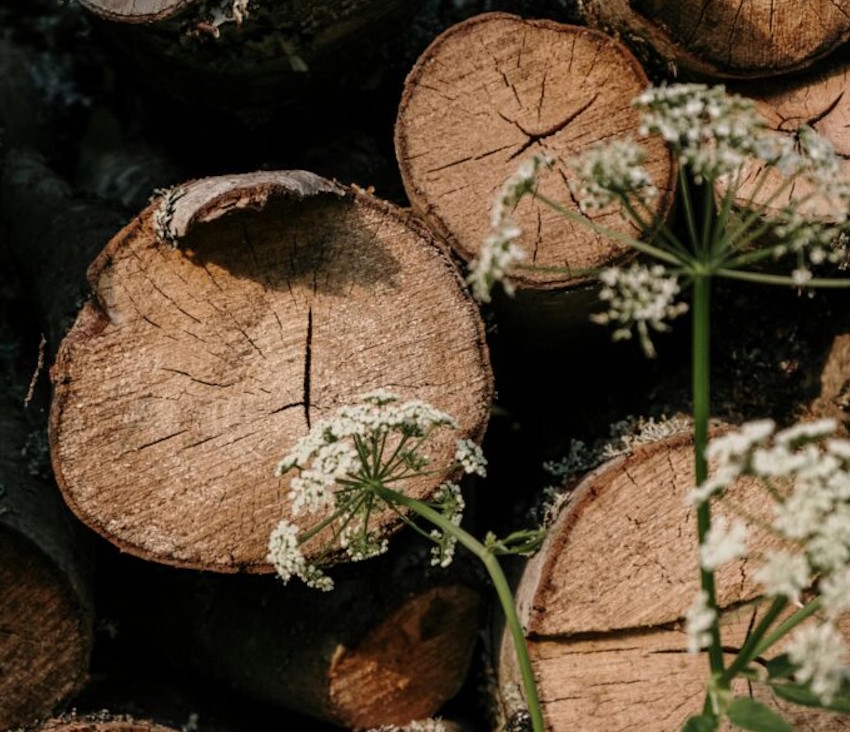 wood properties1.