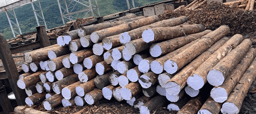 wooden logs1