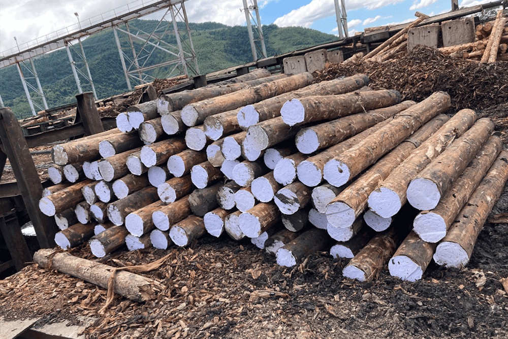 wooden logs