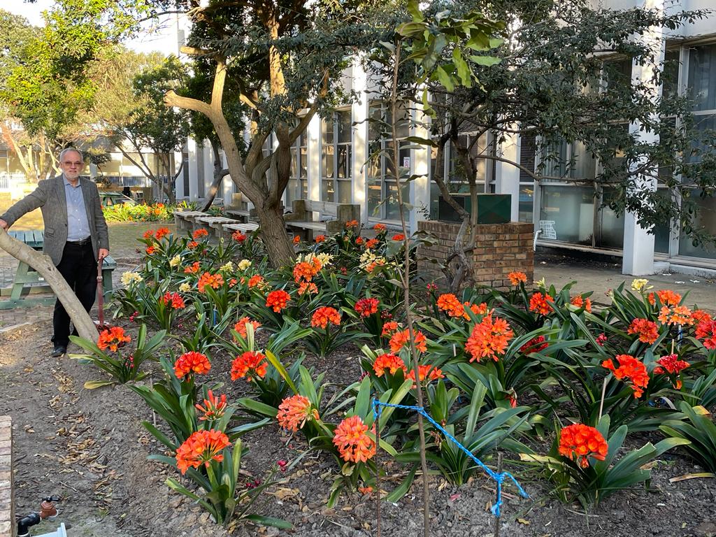 cardio wellness garden