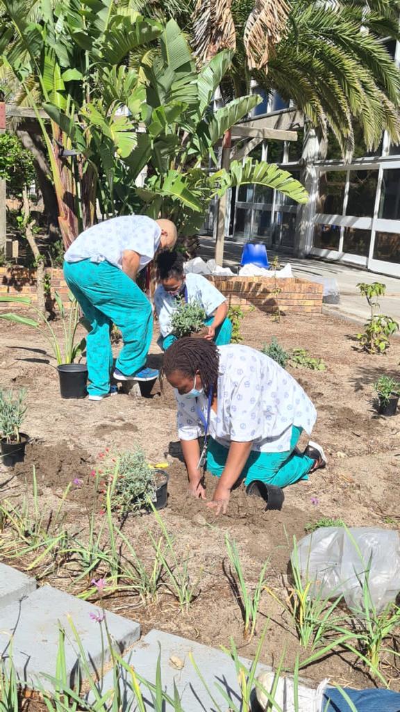 cardio wellness garden