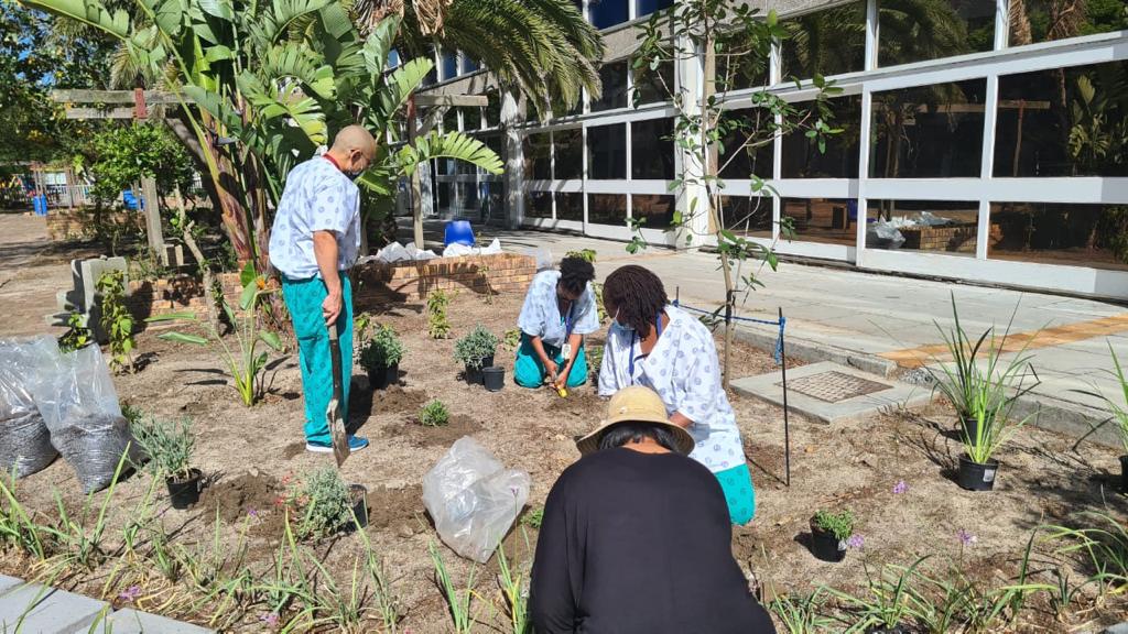 cardio wellness garden