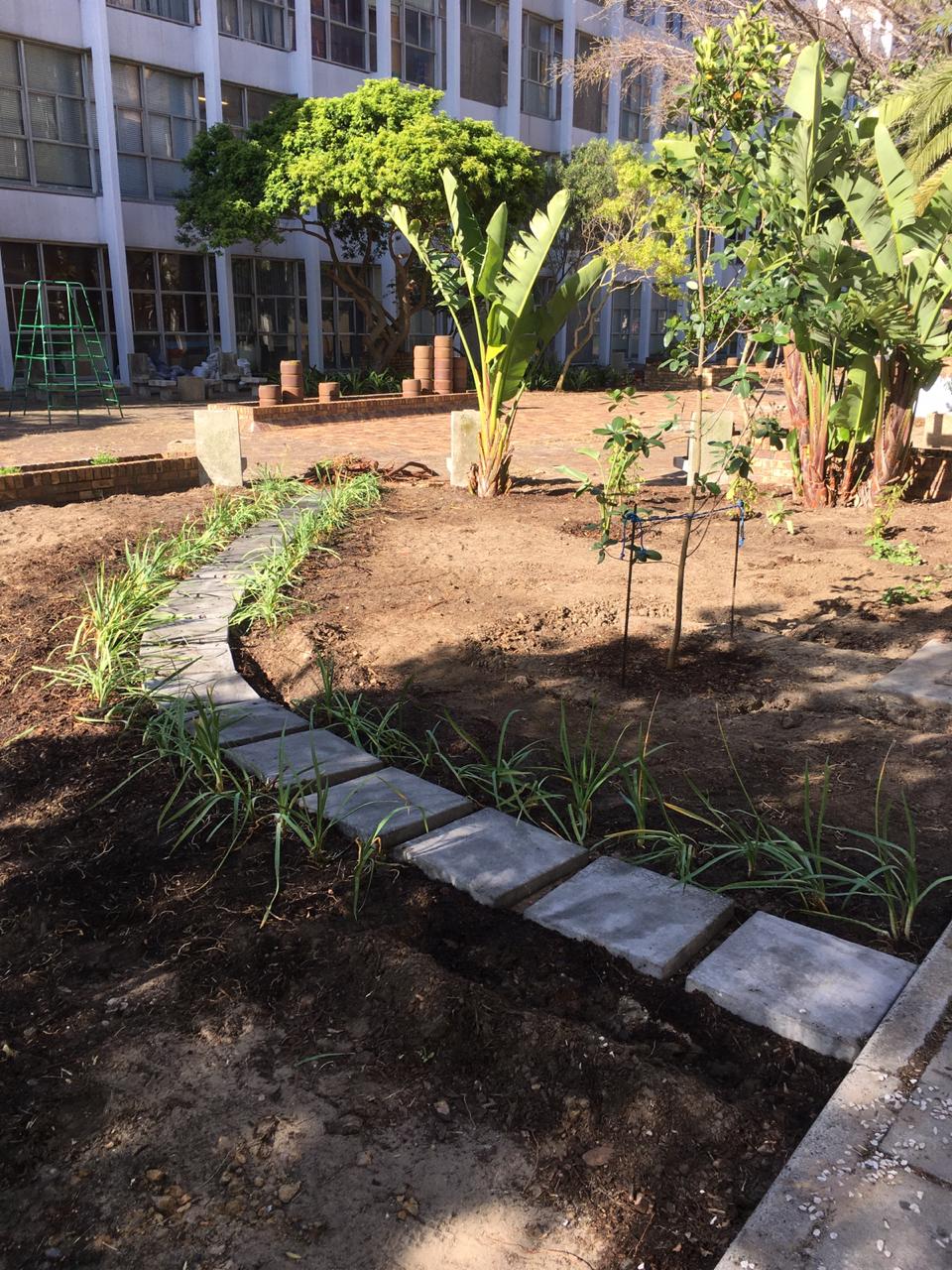 cardio wellness garden