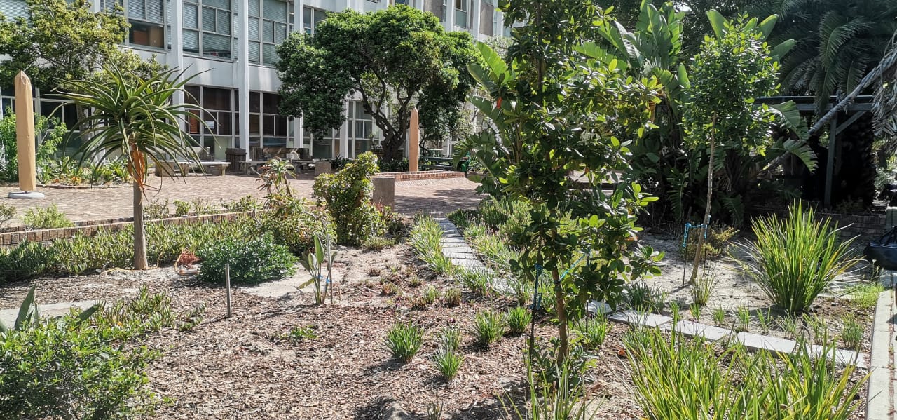 cardio wellness garden