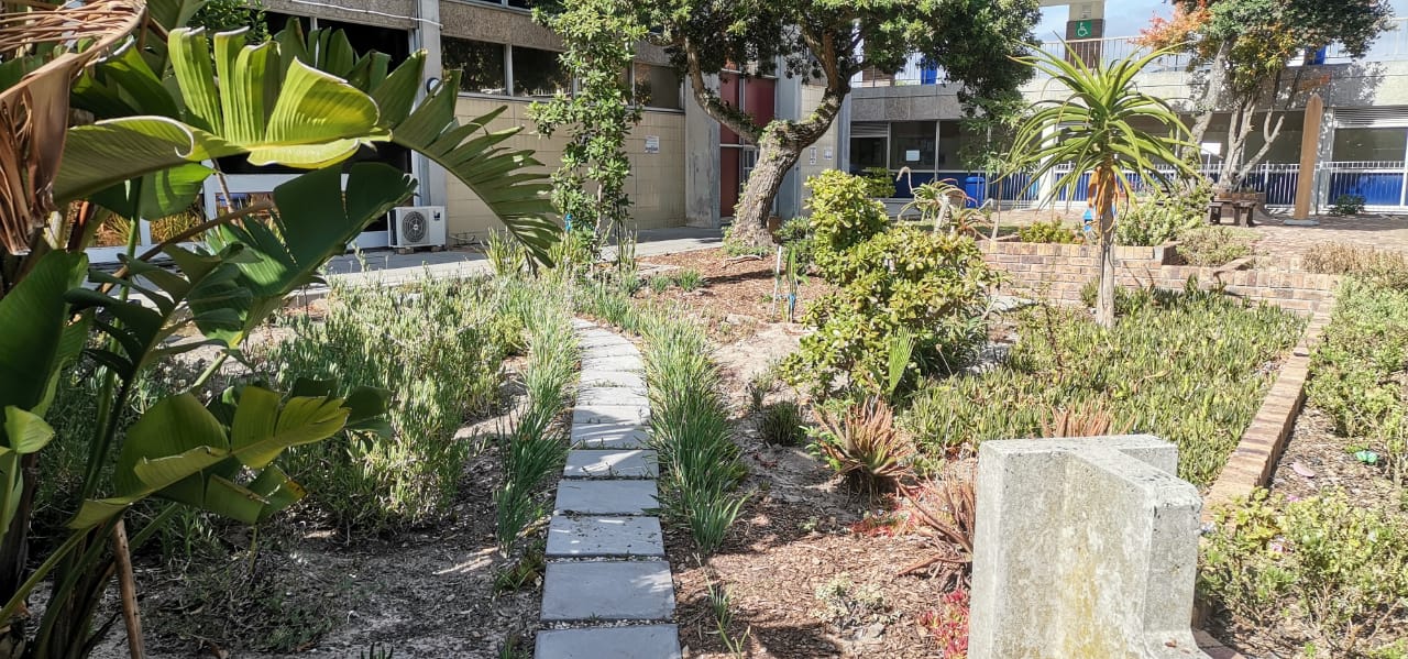 cardio wellness garden