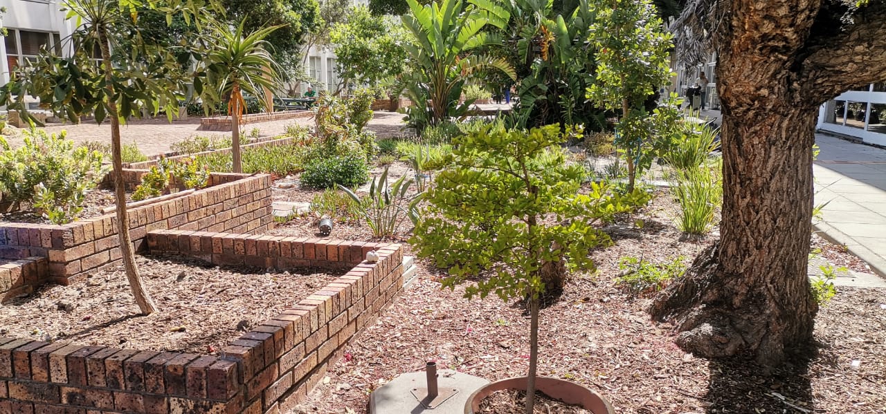 cardio wellness garden