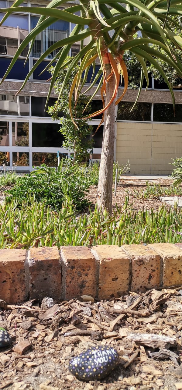 cardio wellness garden