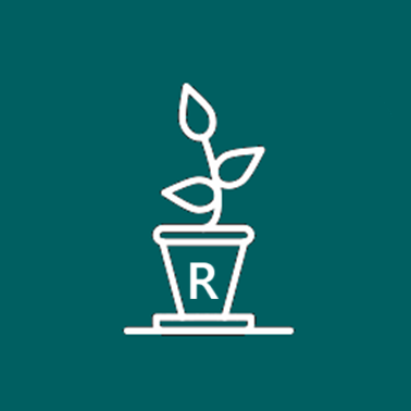 Potplant with seedling icon