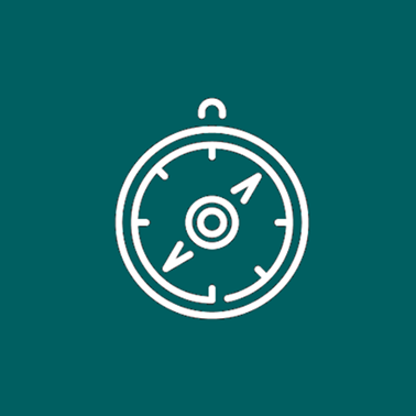 compass icon