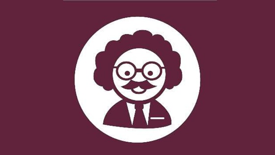 einstein icon