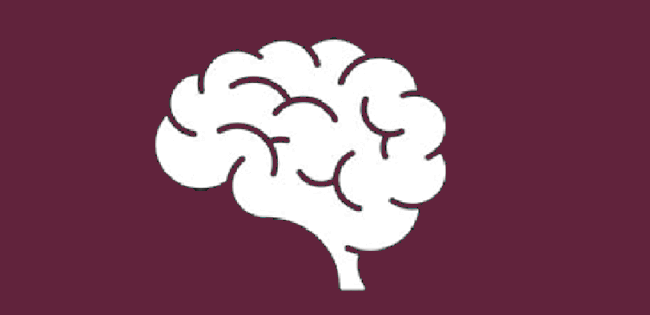 brain icon
