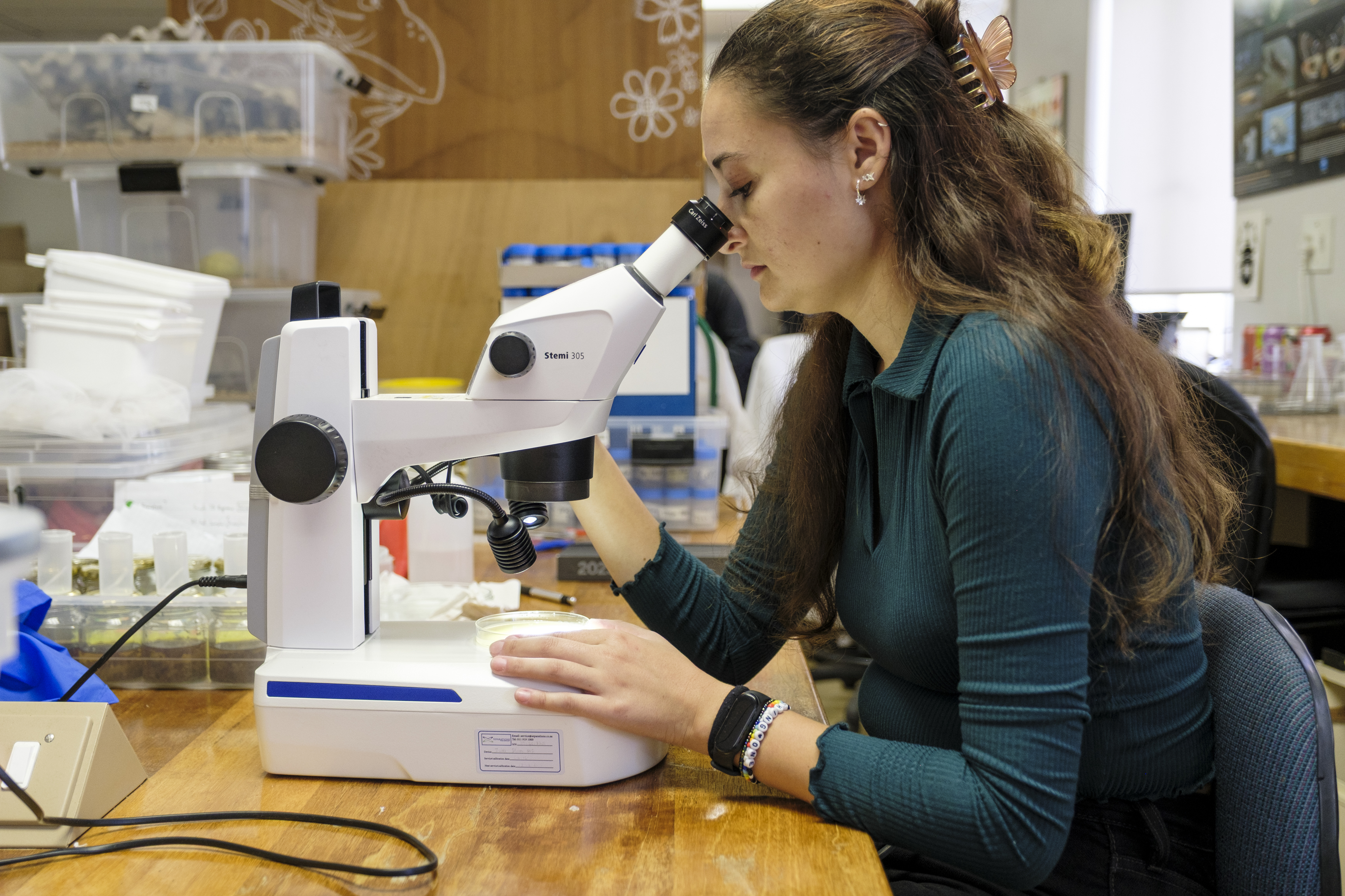 Lab tech looking at samples through a microscope
