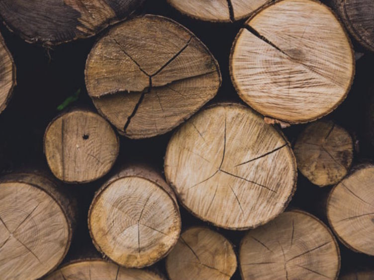 Forest and Wood Science