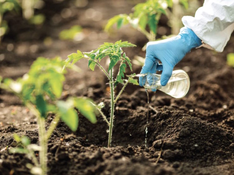 Soil Science