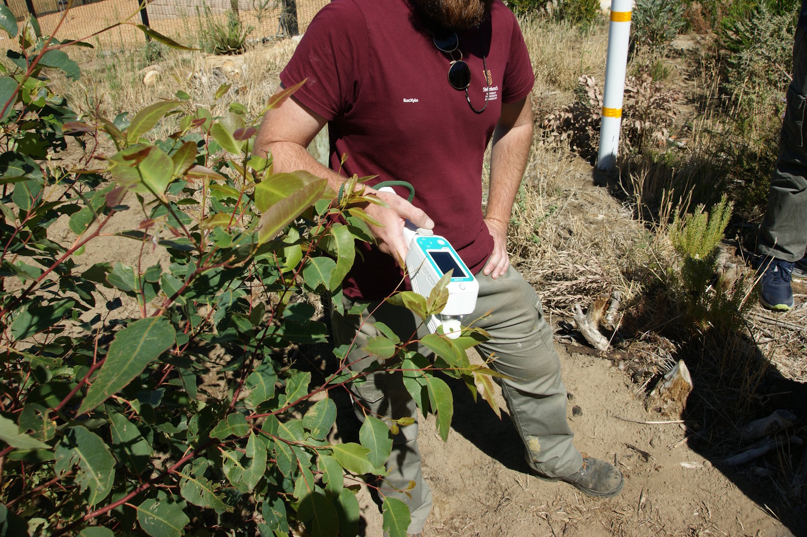 Equipment demonstration at the IMPACT OAL site.jpg
