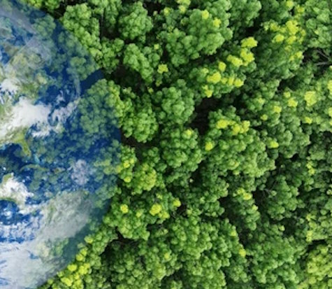 Environmental Ethics Position