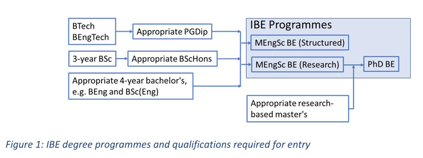 IBE Overview - Figure1.jpg