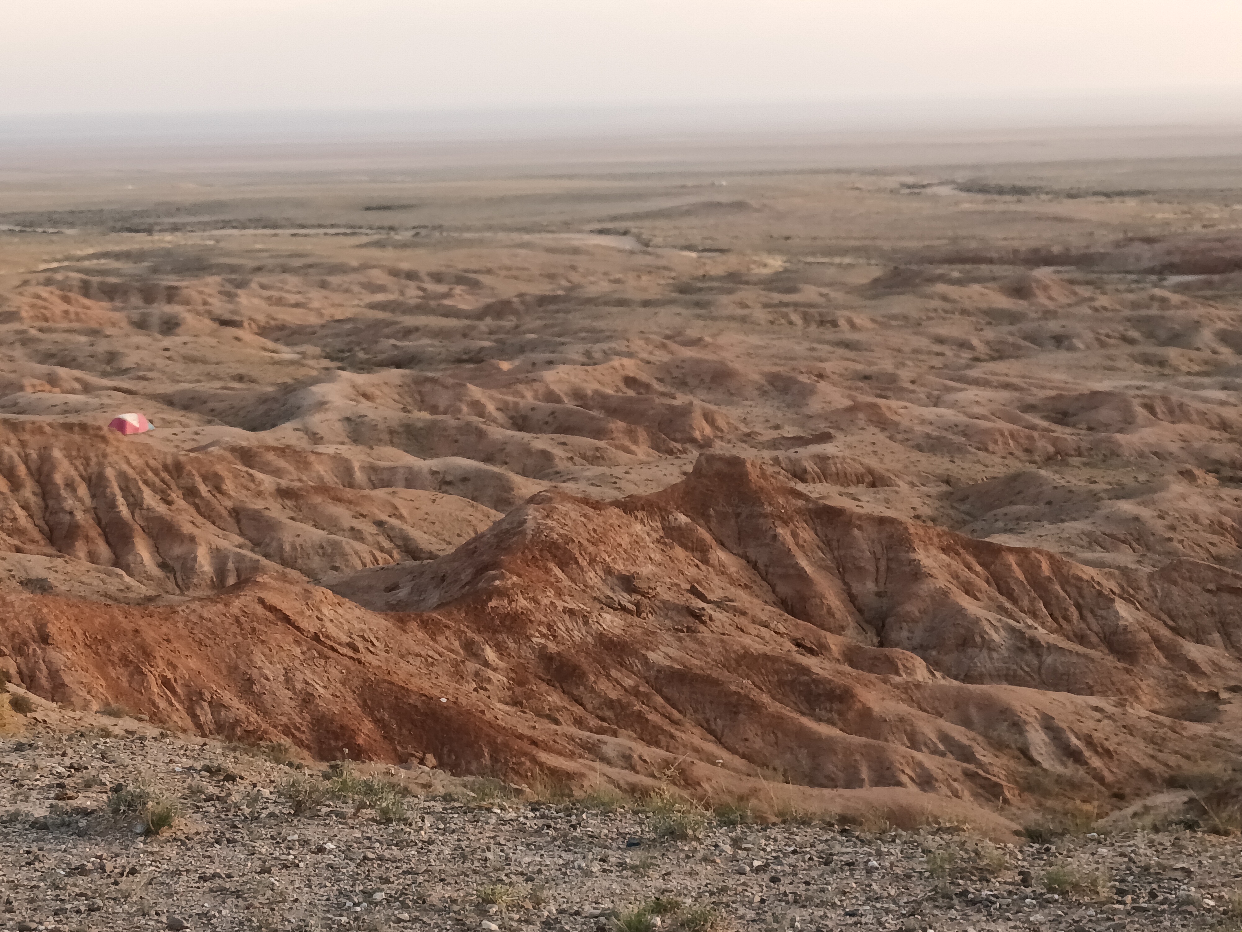 Looking out across the exposed fossil-bearing strata of the fossil locality Teel Ulaan Chaltsai, located in the Sainshand Sub-basin, Eastern Gobi Basin, Mongolia. The team dated eggshell from the Teel Ulaan Chaltsai locality