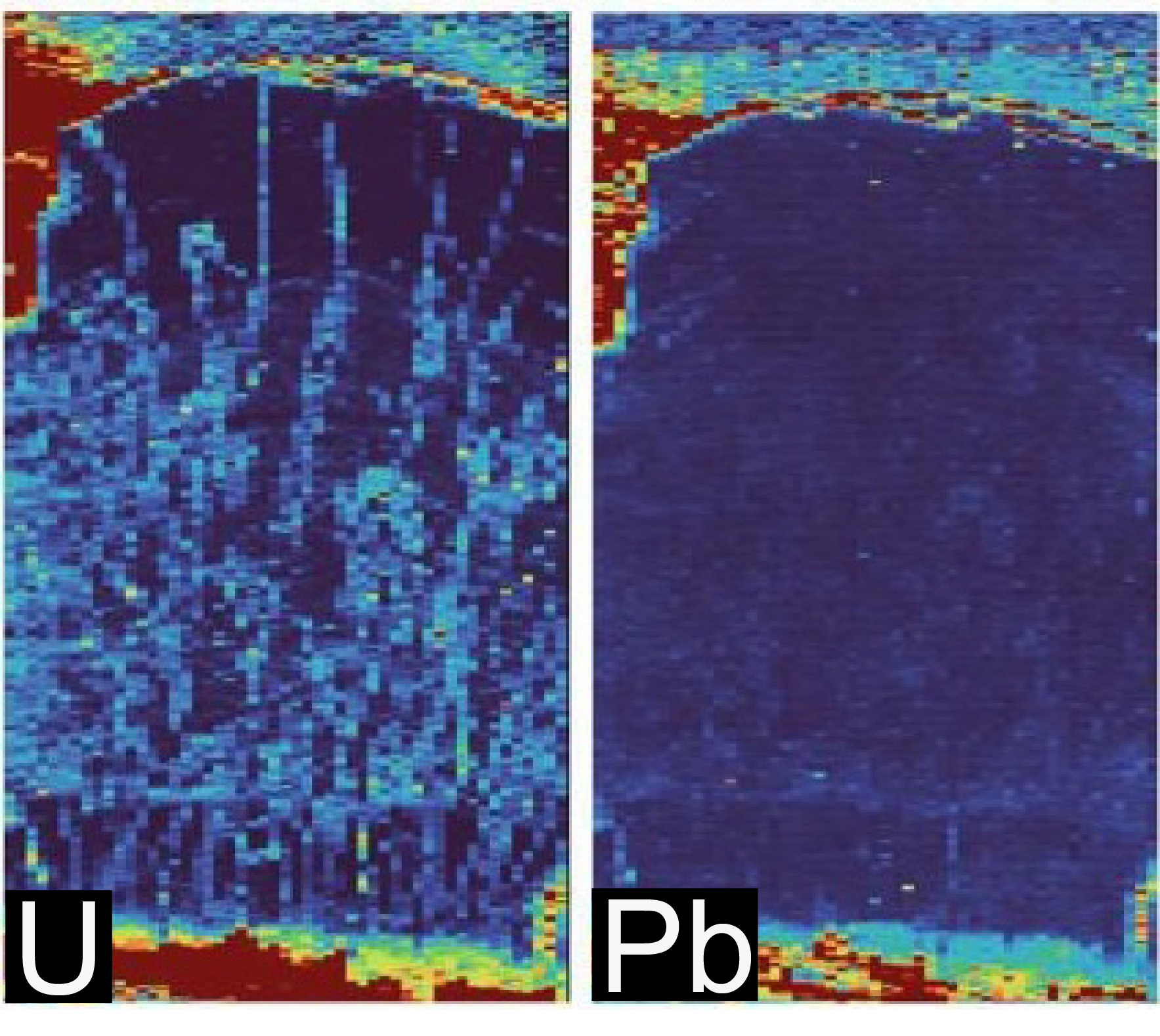 Comparative elemental map of isotopes uranium (U) and lead (Pb) that were used for age dating fossil eggshell collected from the Mussentuchit Member, Cedar Mountain Formation, Utah (USA). Maps indicate that in the USA sample, Uranium (U) penetrated the eggshell after fossilization, whereas the samples from Teel Ulaan Chaltsai show uranium (U) prior to fossilization.