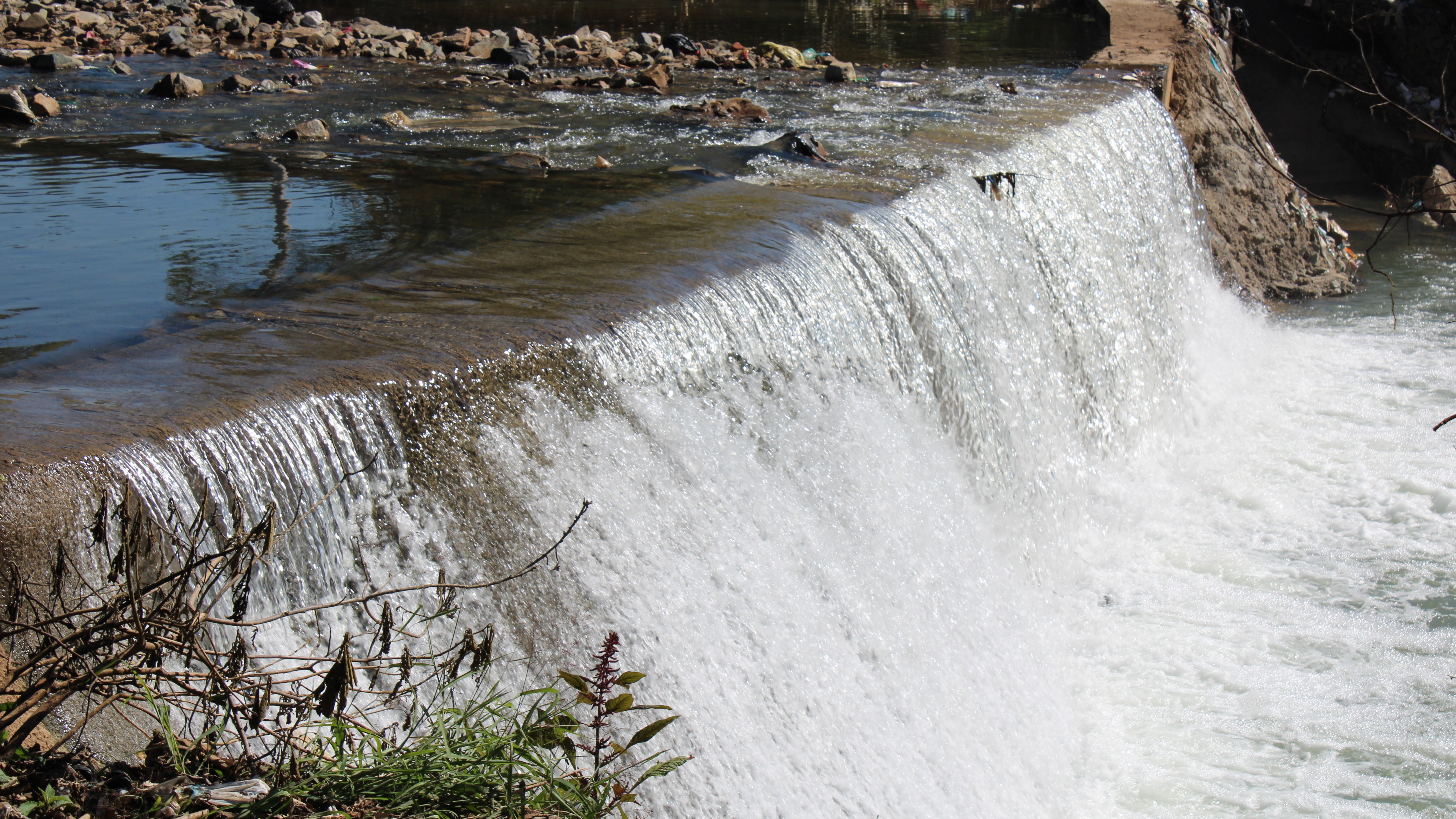 Sampling downriver from a Waste Water Treatment Plant in a large South African city.