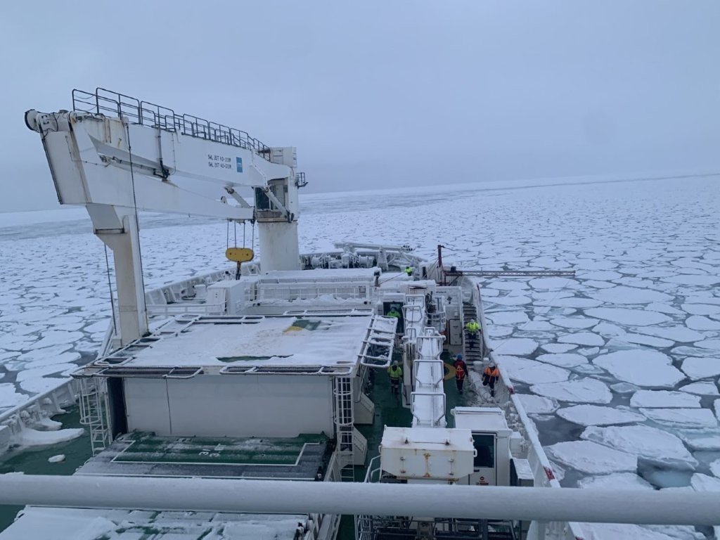 The samples for the study were collected during the Southern Ocean Seasonal Experiment (SCALE) austral winter expedition on board the SA Agulhas II polar research vessel from 11 to 22 July 2022.