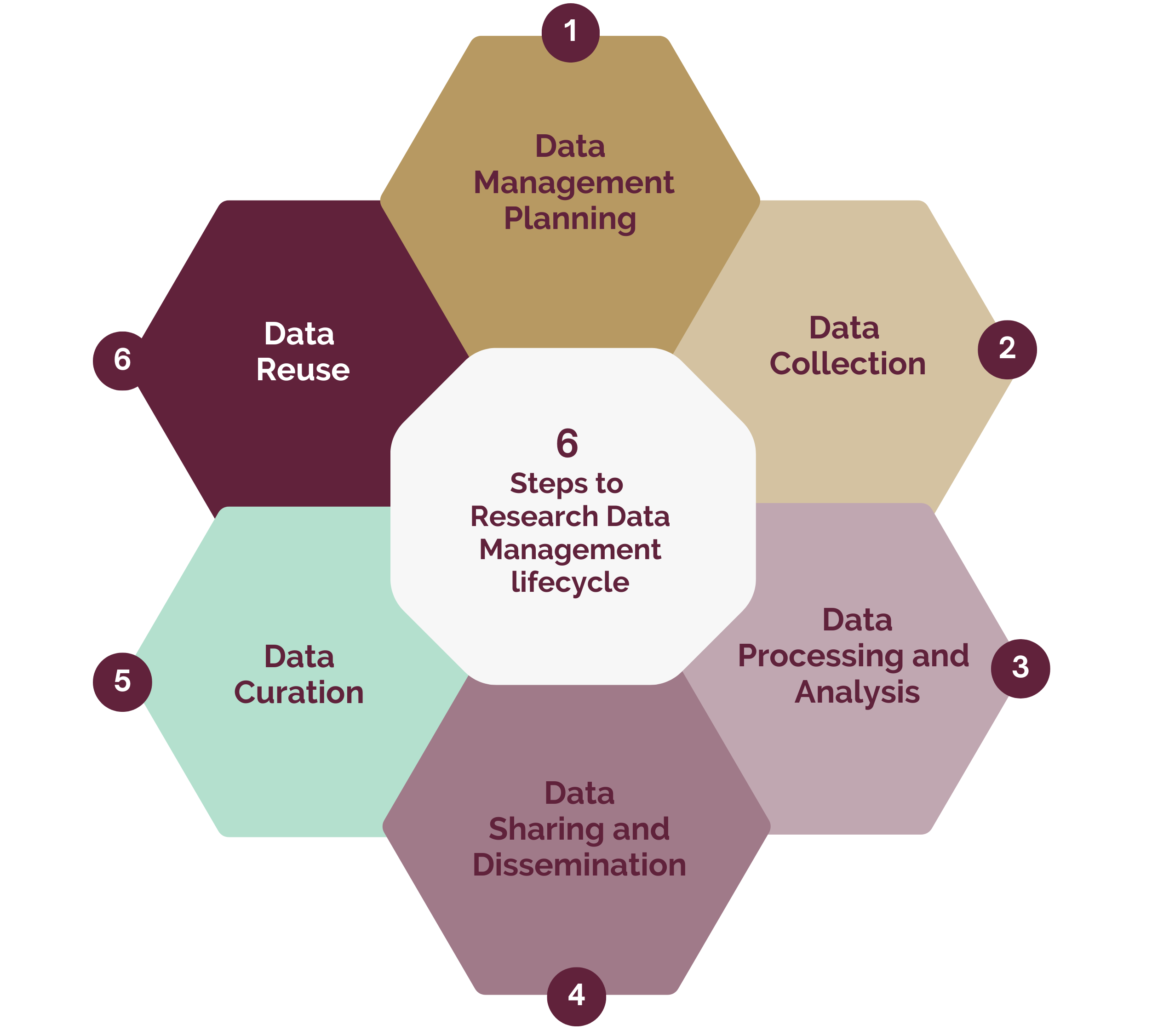 research-data-management-lifecyle