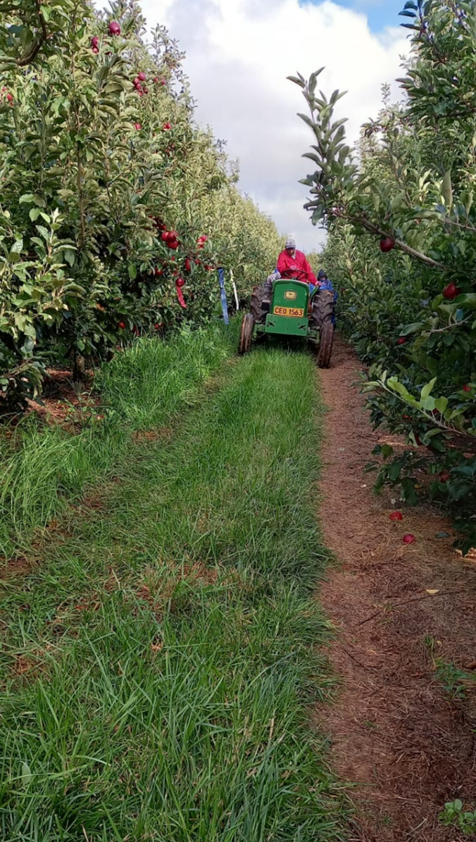 Agriculture.png Agriculture.png