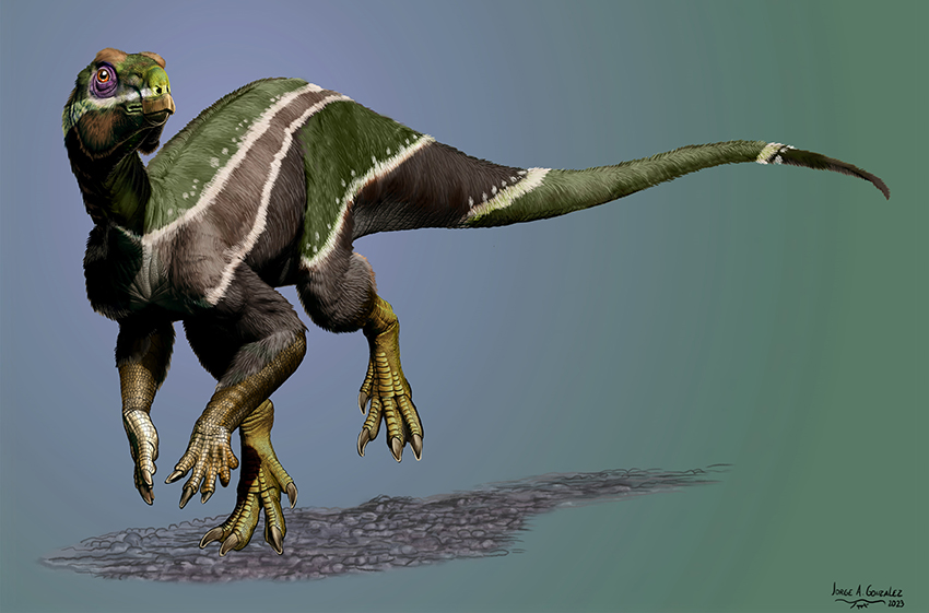 SU Sedimentologist Part Of Team To Discover New Species Of Dinosaur In SU Sedimentologist Part Of Team To Discover New Species Of Dinosaur In