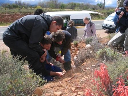 Soil Science Photo Gallery