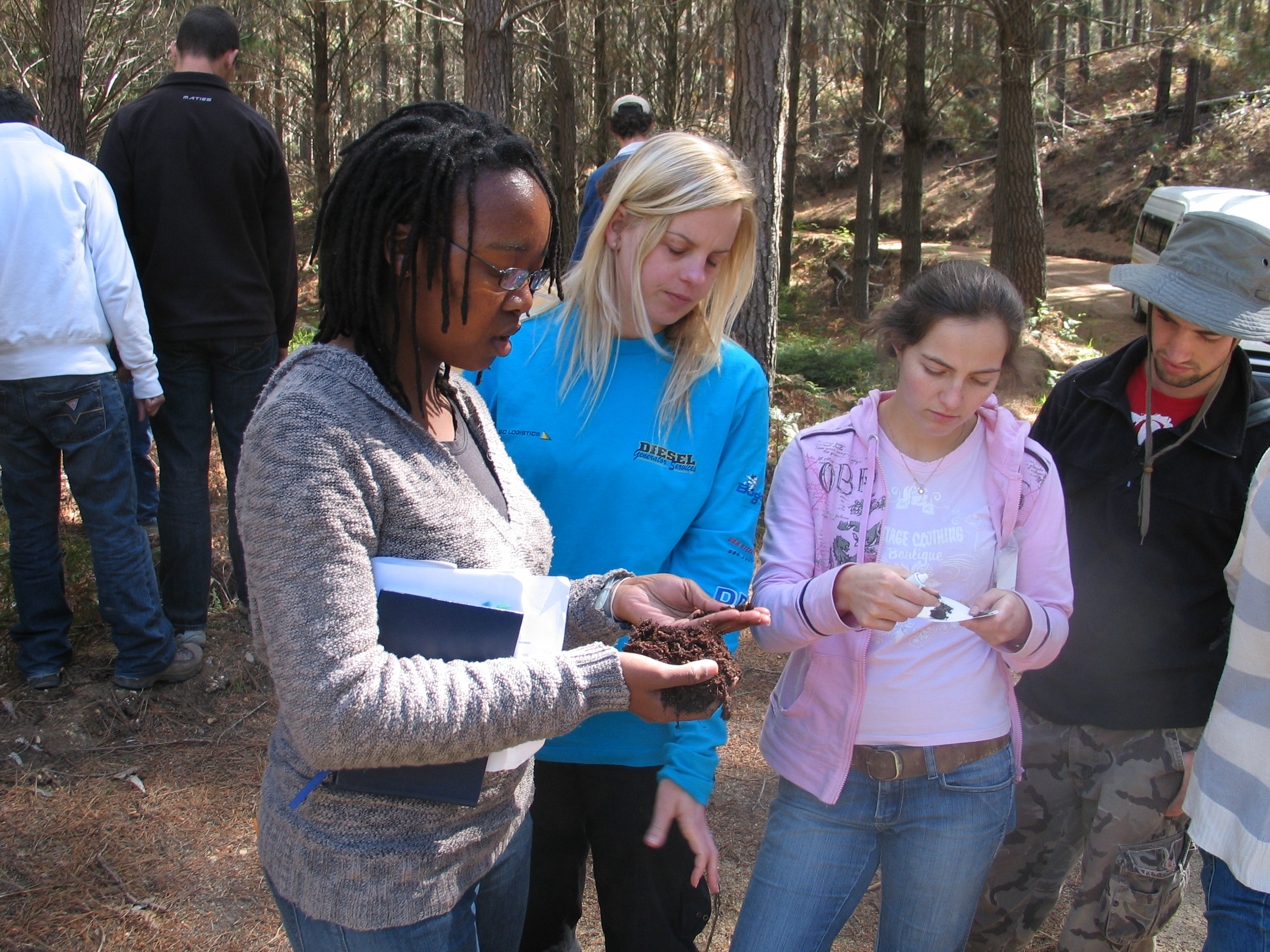 Undergraduate Programmes in Soil Science