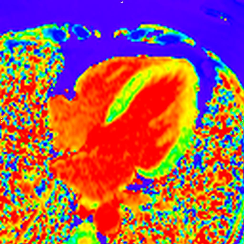 ​​​​​​​​​​​​​​​Division of Cardio​​lo​gy