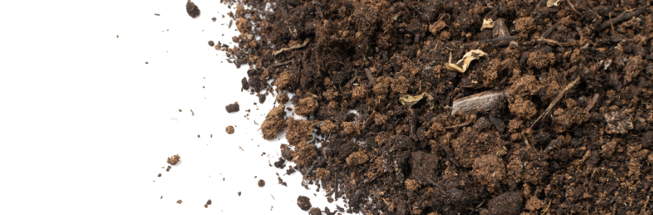 Tiny microbes called up in fight against climate change