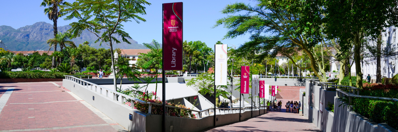 A picture of the Library and Information Service on the Stellenbosch campus