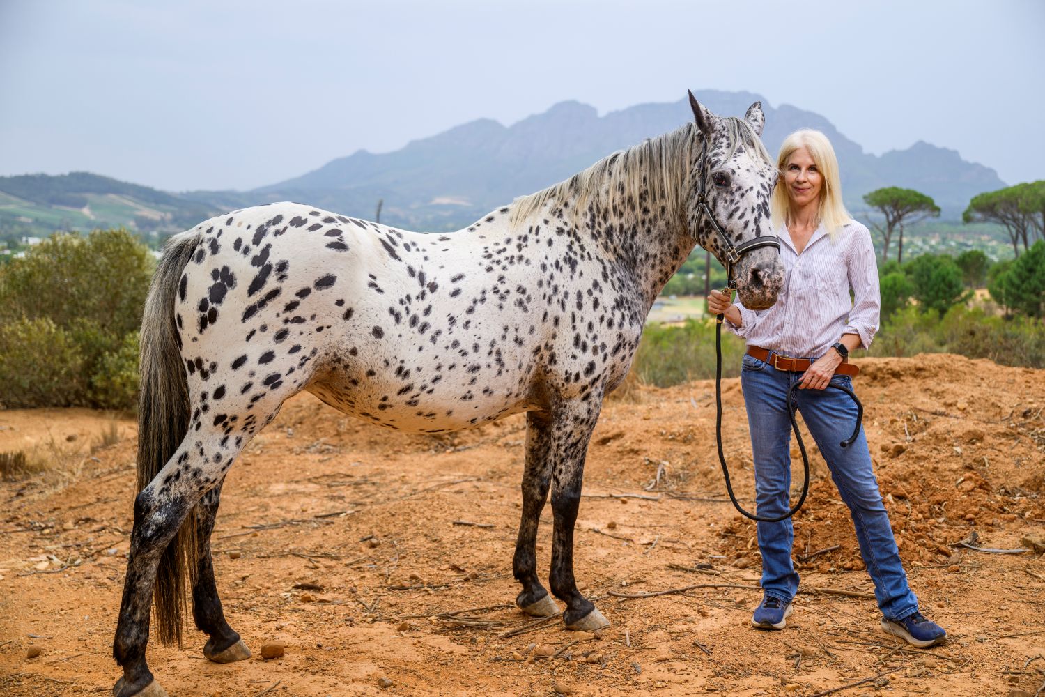 Prof Swart and Aztec