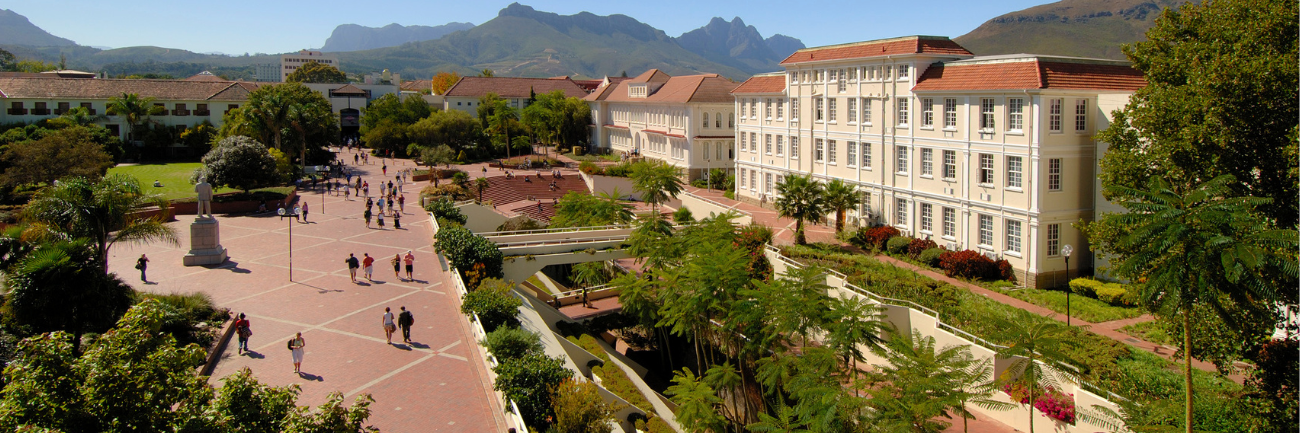A picture of the Rooi Plein on the Stellenbosch Campus