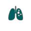 lungs icon
