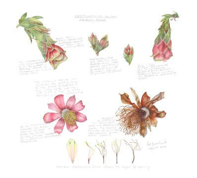 Exhibition Catalogue 2024_FINAL hi res 3_Page_05_Image_0001.jpg