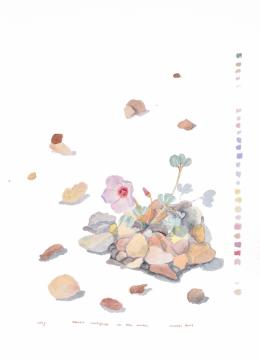 Exhibition Catalogue 2024_FINAL hi res 3_Page_10_Image_0002.jpg