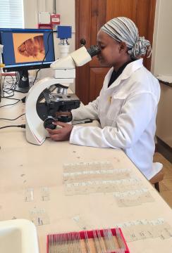 Conservation-ecology 2.jpg