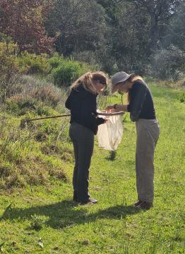 field parcticals 3b.jpg