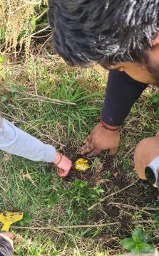 field parcticals 4b.jpg