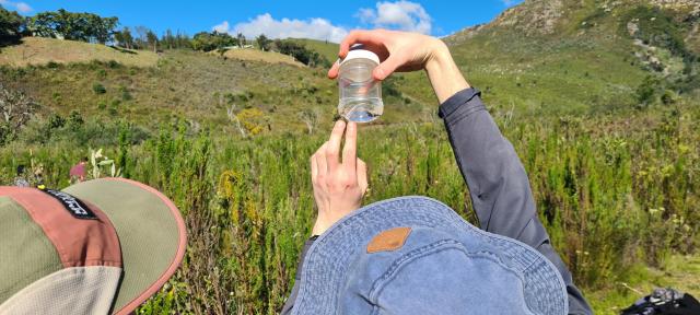 field parcticals.jpg